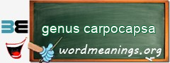 WordMeaning blackboard for genus carpocapsa